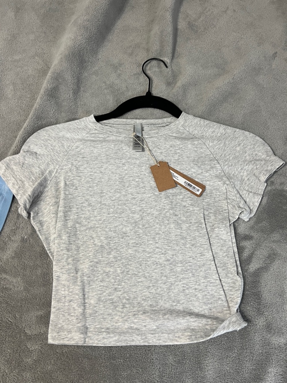 NWT Skims New Vintage Cropped Raglan T-Shirt